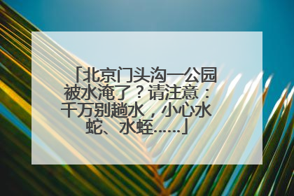 北京门头沟一公园被水淹了？请注意：千万别趟水，小心水蛇、水蛭……