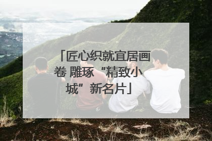 匠心织就宜居画卷 雕琢“精致小城”新名片
