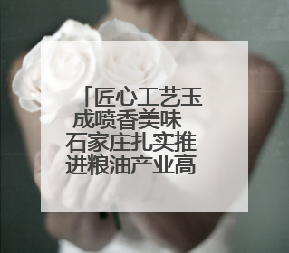 匠心工艺玉成喷香美味 石家庄扎实推进粮油产业高质量发展