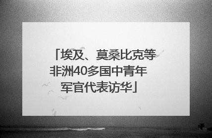 埃及、莫桑比克等非洲40多国中青年军官代表访华
