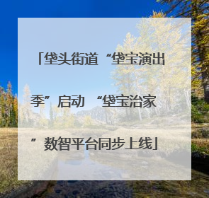 垡头街道“垡宝演出季”启动 “垡宝治家”数智平台同步上线
