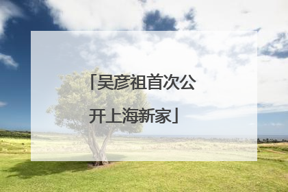 吴彦祖首次公开上海新家