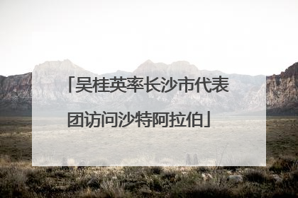 吴桂英率长沙市代表团访问沙特阿拉伯