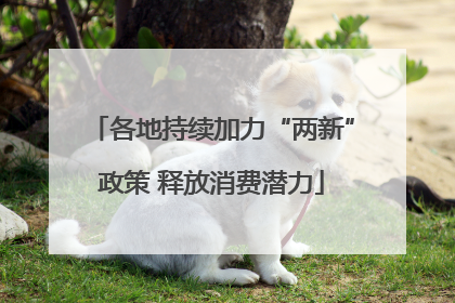 各地持续加力“两新”政策 释放消费潜力