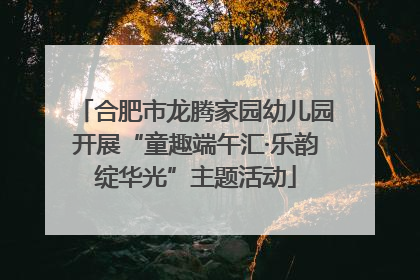 合肥市龙腾家园幼儿园开展“童趣端午汇·乐韵绽华光”主题活动