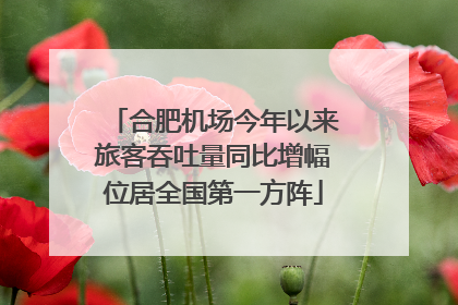 合肥机场今年以来旅客吞吐量同比增幅位居全国第一方阵