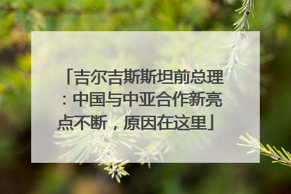 吉尔吉斯斯坦前总理：中国与中亚合作新亮点不断，原因在这里