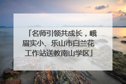 名师引领共成长，峨眉实小、乐山市白兰花工作站送教南山学区