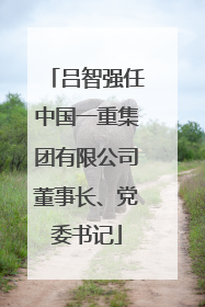 吕智强任中国一重集团有限公司董事长、党委书记