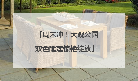 周末冲！大观公园双色睡莲惊艳绽放