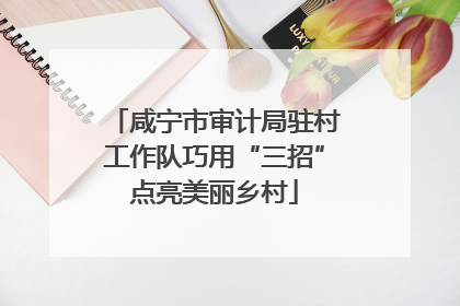咸宁市审计局驻村工作队巧用“三招”点亮美丽乡村