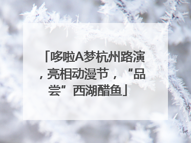 哆啦A梦杭州路演，亮相动漫节，“品尝”西湖醋鱼