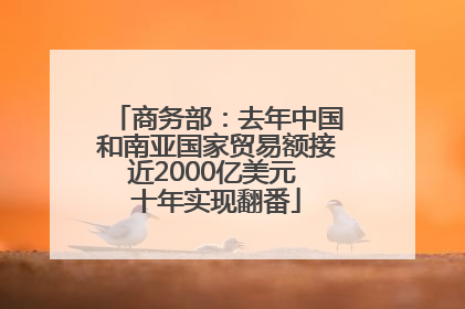 商务部：去年中国和南亚国家贸易额接近2000亿美元 十年实现翻番