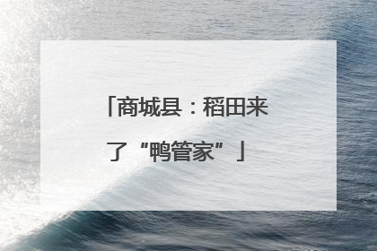 商城县：稻田来了“鸭管家”