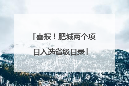 喜报！肥城两个项目入选省级目录