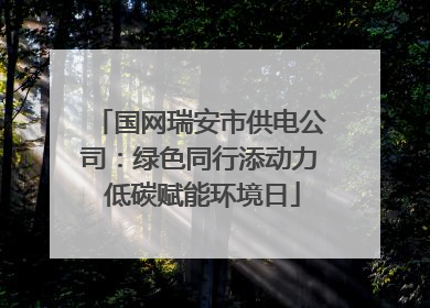 国网瑞安市供电公司：绿色同行添动力 低碳赋能环境日