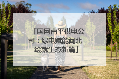国网南平供电公司：绿电赋能闽北 绘就生态新篇