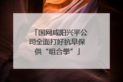 国网咸阳兴平公司全面打好抗旱保供“组合拳”