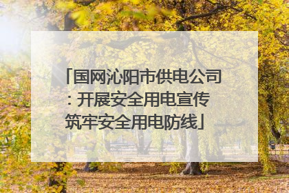 国网沁阳市供电公司：开展安全用电宣传 筑牢安全用电防线