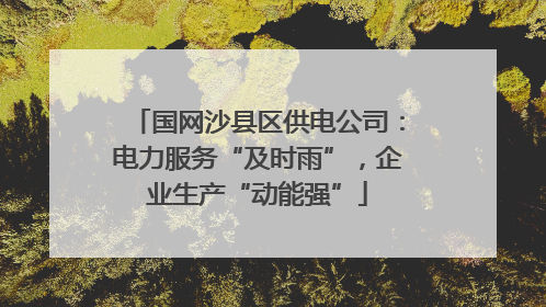 国网沙县区供电公司：电力服务“及时雨”，企业生产“动能强”