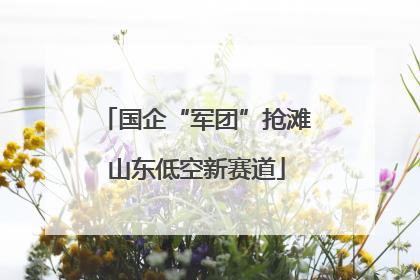 国企“军团”抢滩山东低空新赛道