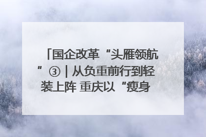 国企改革“头雁领航”③｜从负重前行到轻装上阵 重庆以“瘦身”谋“健体”