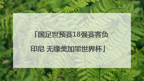 国足世预赛18强赛客负印尼 无缘美加墨世界杯