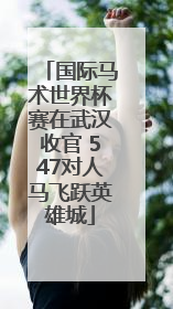 国际马术世界杯赛在武汉收官 547对人马飞跃英雄城