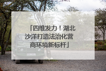 四维发力！湖北沙洋打造法治化营商环境新标杆