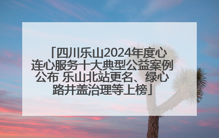 四川乐山2024年度心连心服务十大典型公益案例公布 乐山北站更名、绿心路井盖治理等上榜