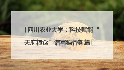 四川农业大学：科技赋能“天府粮仓”谱写稻香新篇