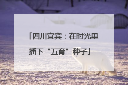 四川宜宾：在时光里播下“五育”种子