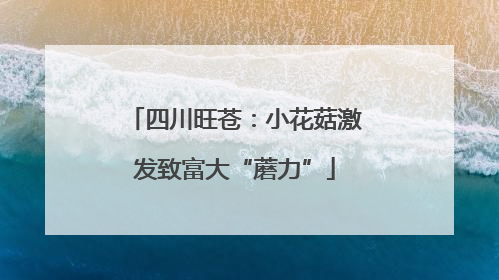 四川旺苍：小花菇激发致富大“蘑力”