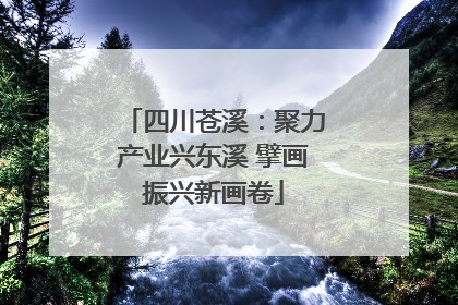 四川苍溪：聚力产业兴东溪 擘画振兴新画卷