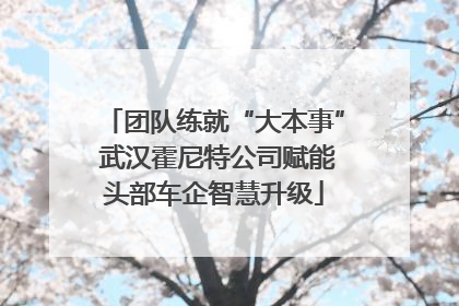 团队练就“大本事” 武汉霍尼特公司赋能头部车企智慧升级