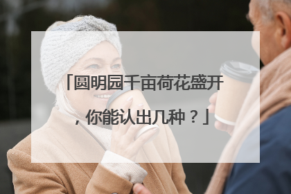 圆明园千亩荷花盛开，你能认出几种？