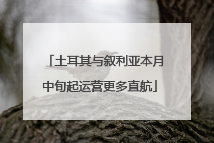 土耳其与叙利亚本月中旬起运营更多直航