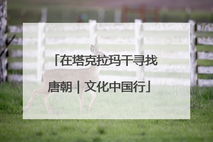 在塔克拉玛干寻找唐朝｜文化中国行