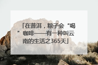 在普洱，粽子会“喝”咖啡——有一种叫云南的生活之365天