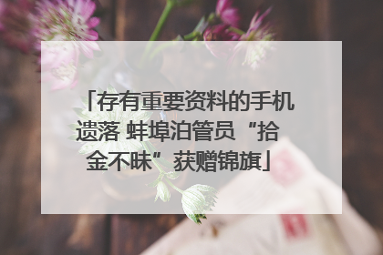 存有重要资料的手机遗落 蚌埠泊管员“拾金不昧”获赠锦旗