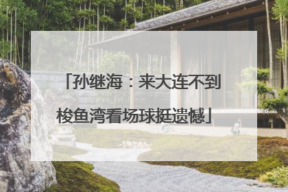 孙继海：来大连不到梭鱼湾看场球挺遗憾