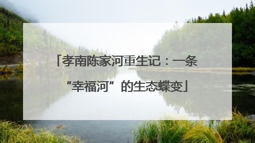 孝南陈家河重生记：一条“幸福河”的生态蝶变