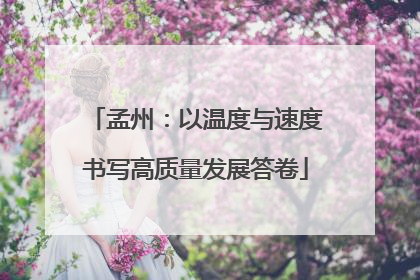 孟州：以温度与速度书写高质量发展答卷