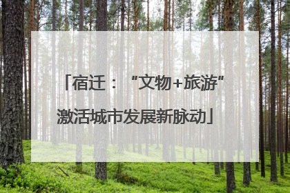 宿迁：“文物+旅游”激活城市发展新脉动