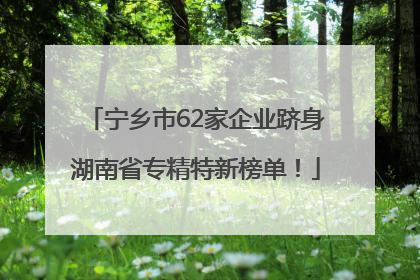 宁乡市62家企业跻身湖南省专精特新榜单！