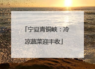 宁夏青铜峡：冷凉蔬菜迎丰收
