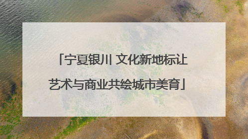 宁夏银川 文化新地标让艺术与商业共绘城市美育