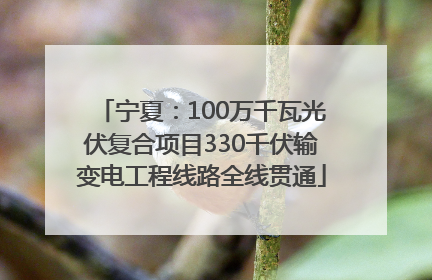 宁夏：100万千瓦光伏复合项目330千伏输变电工程线路全线贯通