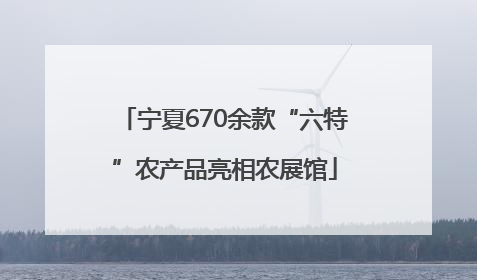 宁夏670余款“六特”农产品亮相农展馆