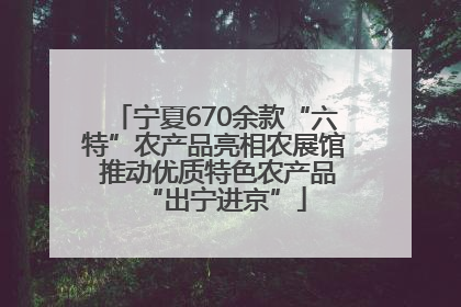 宁夏670余款“六特”农产品亮相农展馆 推动优质特色农产品“出宁进京”